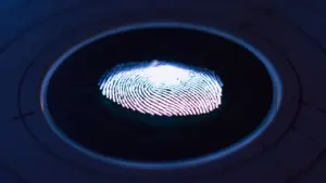 Ar Lietuva atvers ES tapatybės piniginę iki 2026 pabaigos?