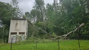 Didelis nulūžęs medis užvirtęs ant mūrinio elektros pastotės pastato tarp žalių medžių.