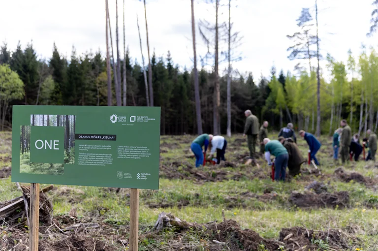 Lietuvos projektai Londono finale: miškas ir Vilniaus šventė