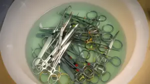Veterinariniai chirurginiai instrumentai mirkomi dezinfekciniame skystyje prieš operaciją klinikoje